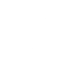 SHINEX ACCESSORY LOGO